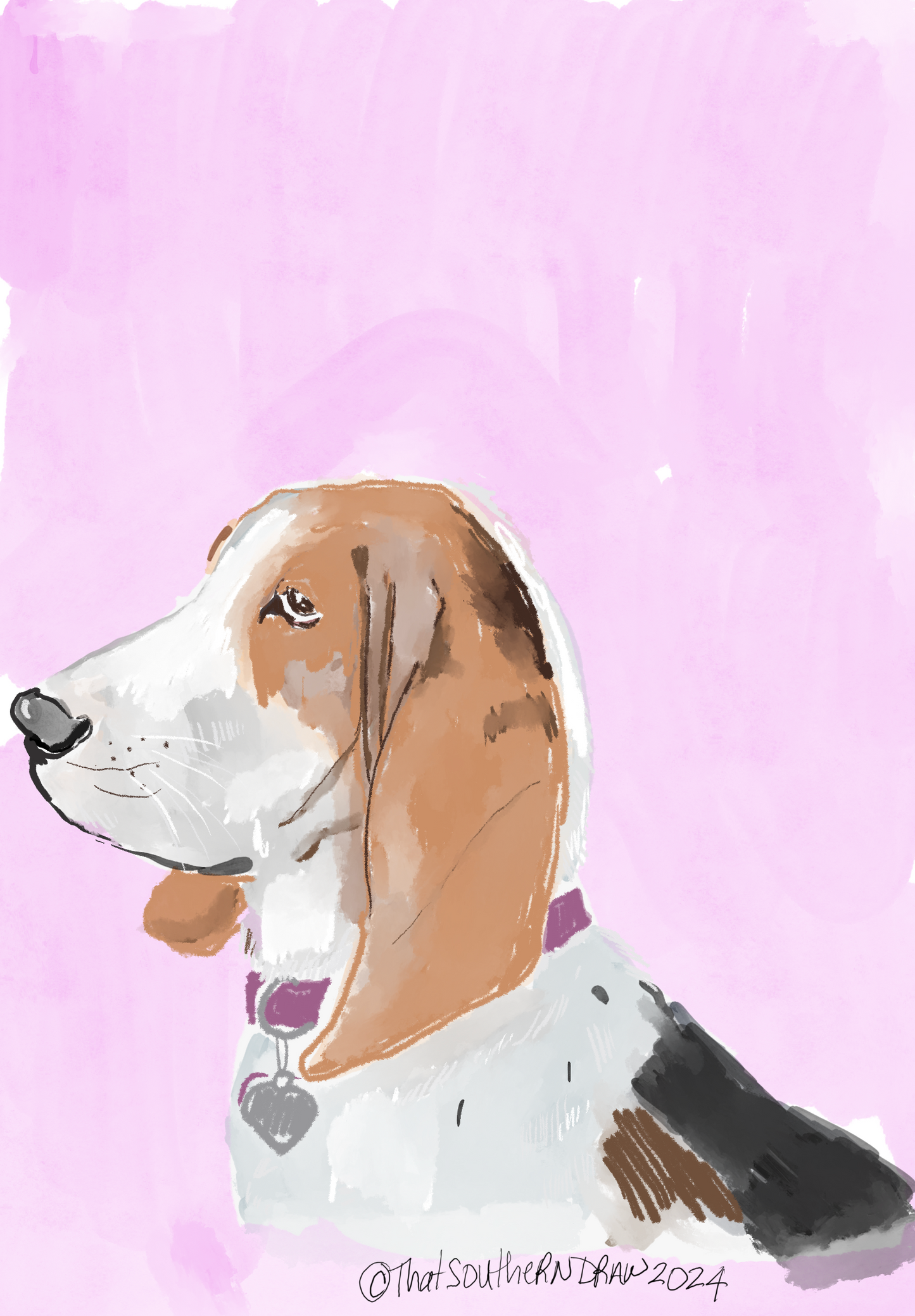 Bassett Hound Sticker