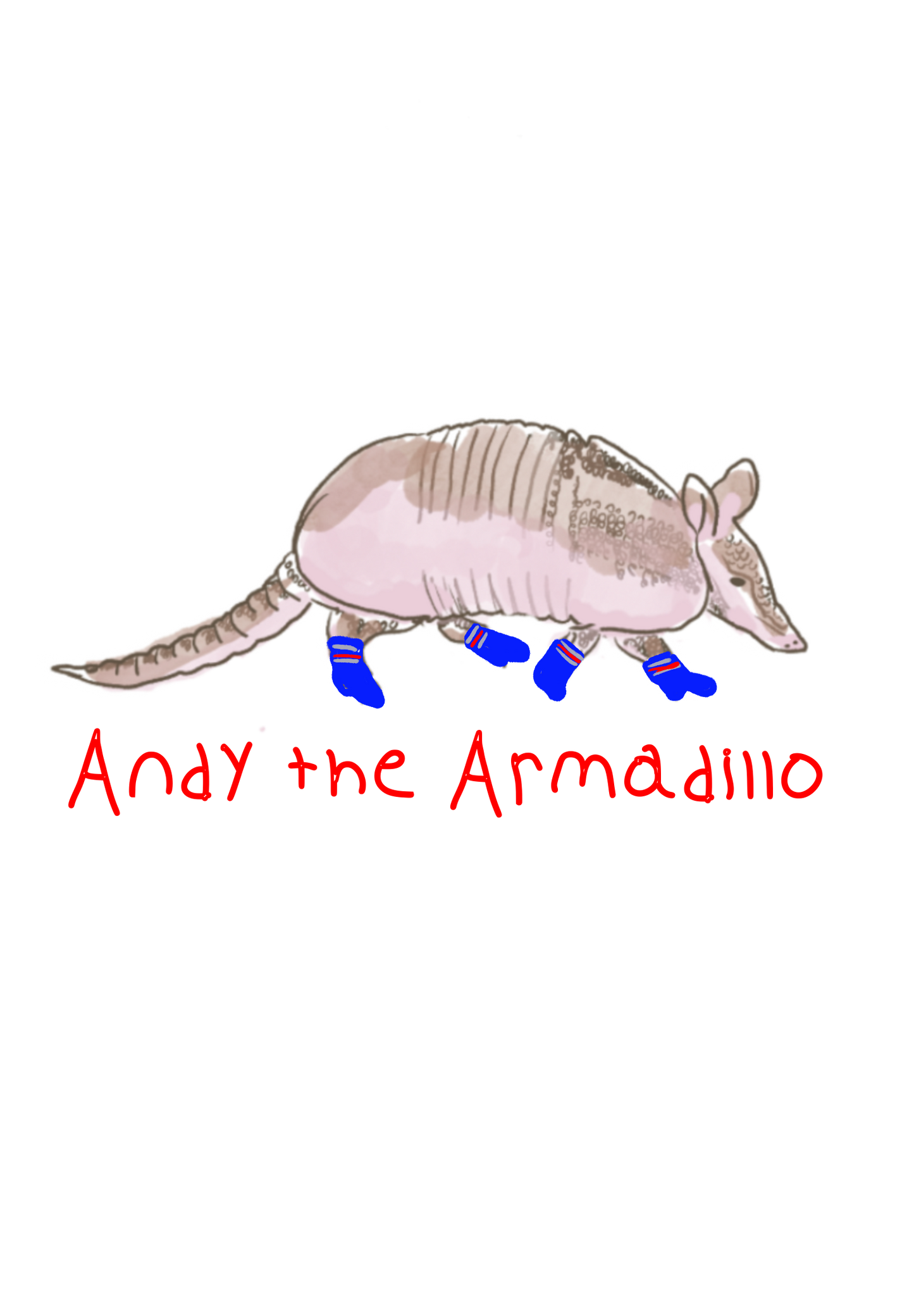 Andy the Armadillo