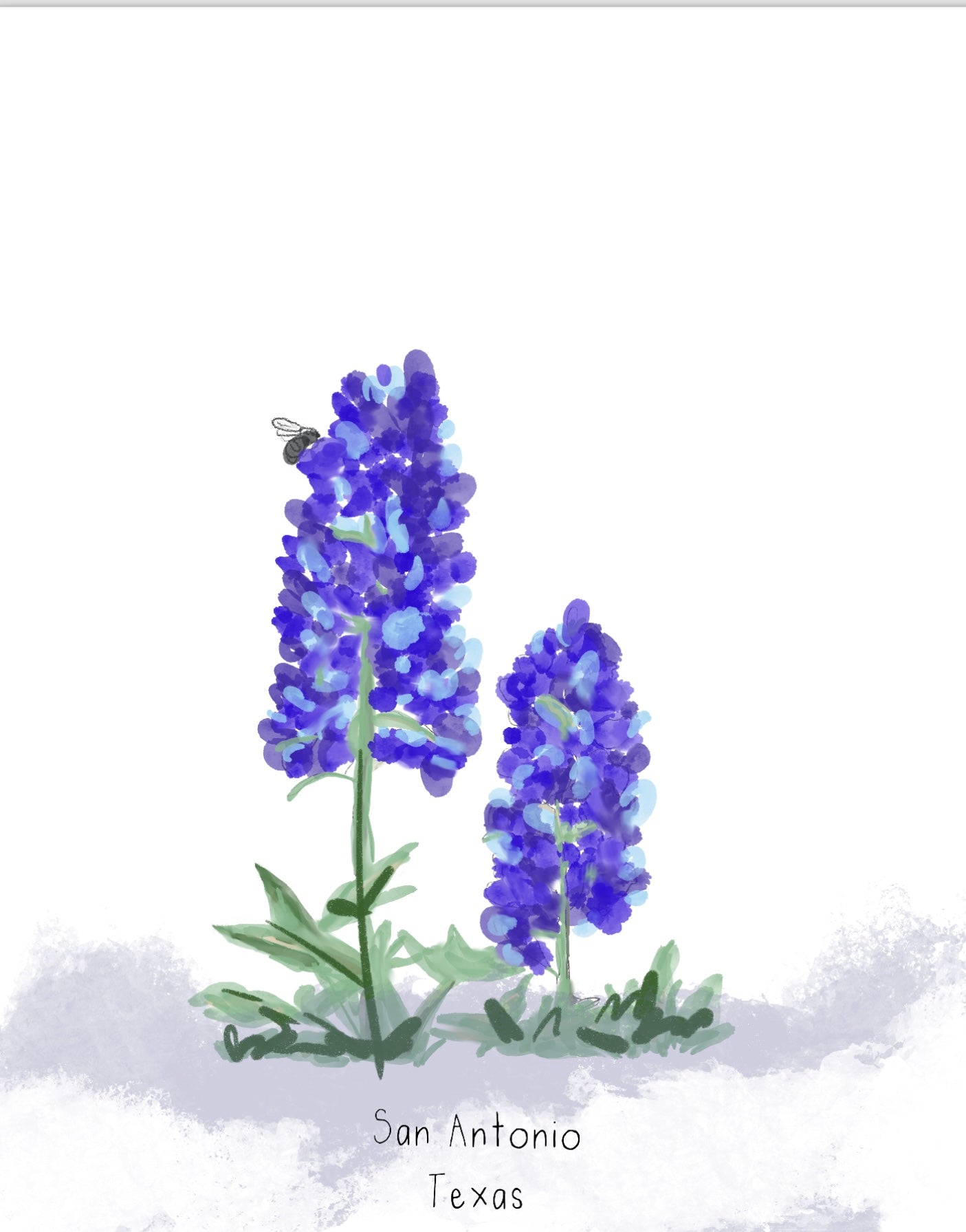 BLUEBONNETS SAN ANTONIO