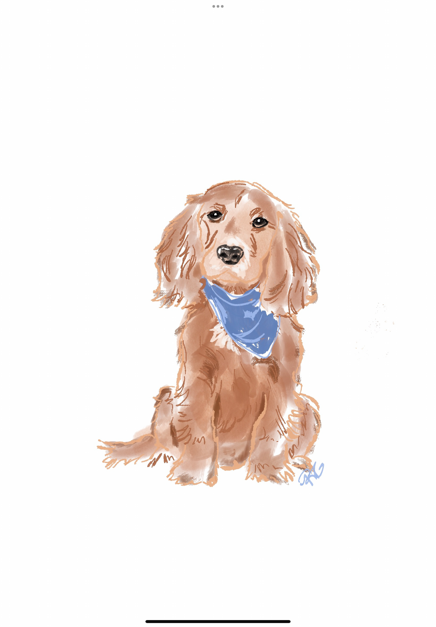 Cocker Spaniel