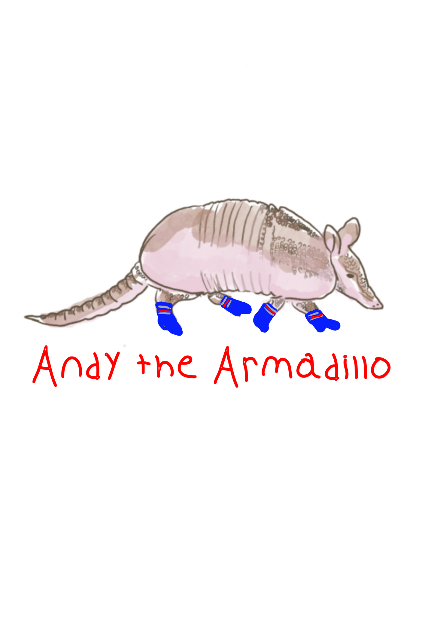 Andy the Armadillo Sticker