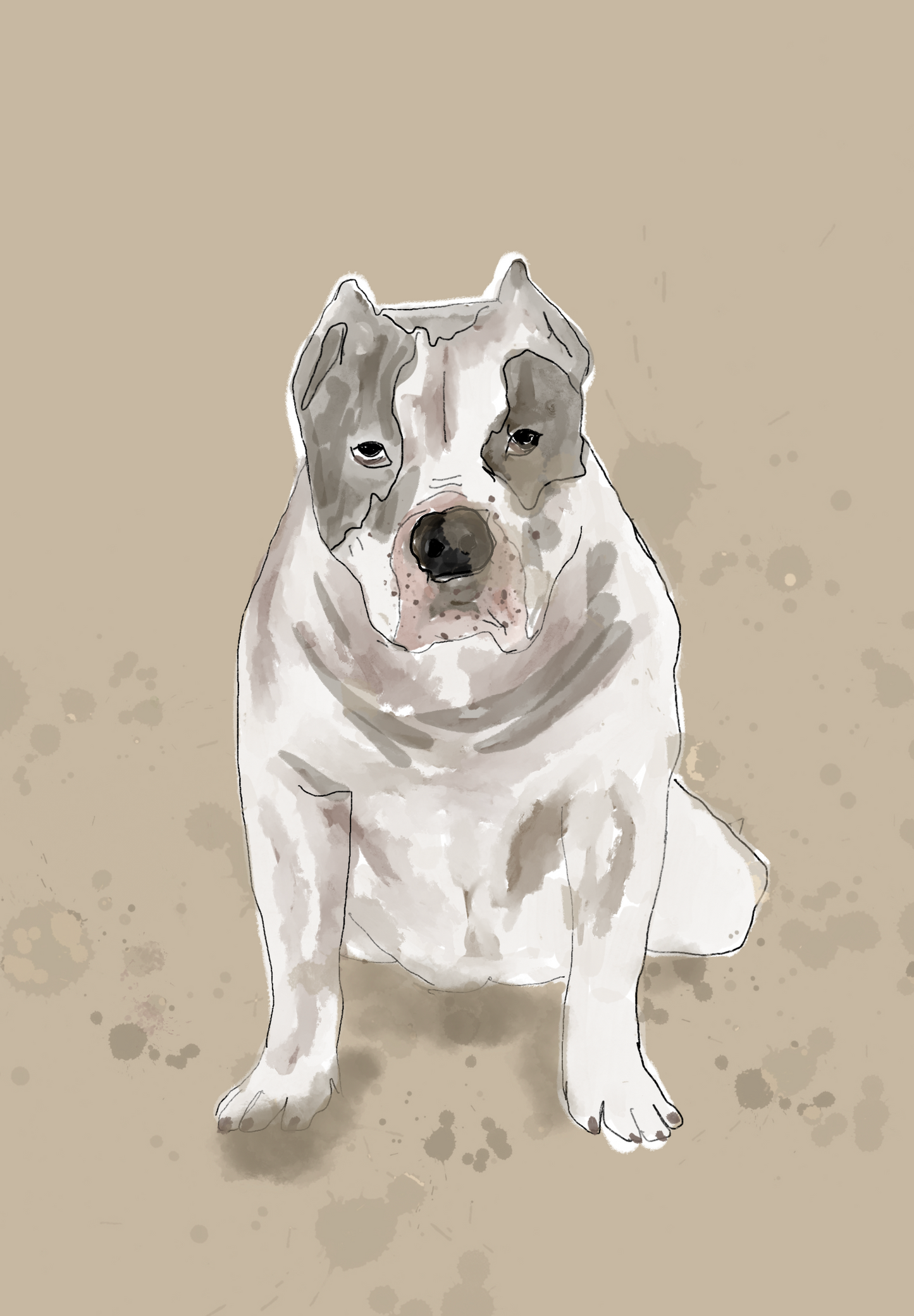 Bandit the Bully