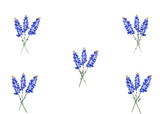 Bluebonnet Bunches