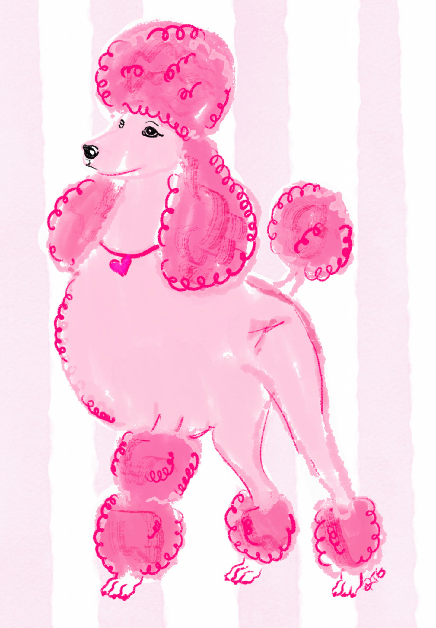 Pink Poodle